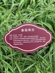 -塔元庄景区