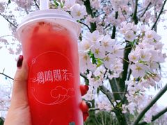-鸡鸣赐茶(鸡鸣寺路店)