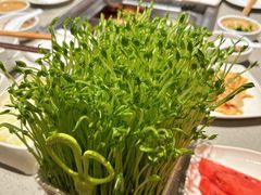 -海底捞火锅(奥森店)