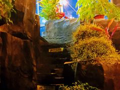 -达蓬山旅游度假区