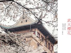 -武汉大学-樱园