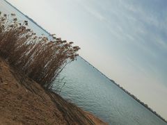-漕湖湿地公园