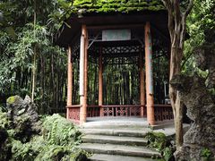 -望江楼公园