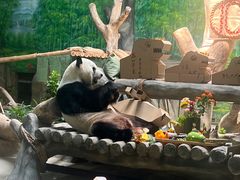 -灵玲国际马戏城