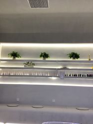 -MONICA BOX美甲美睫