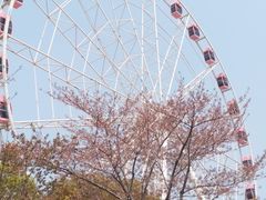 -自然谷恐龙园
