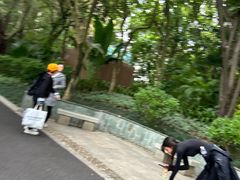 -南宁南湖公园