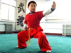 -武术世家少儿培训中心(首都体育学院店)