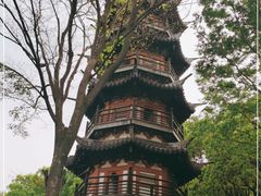 -上海佘山国家森林公园西佘山园