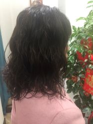 -渼树MSUTREE连锁沙龙