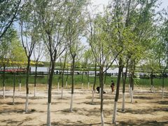 -西青郊野公园
