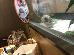 -井格重庆火锅(西直门凯德Mall店)