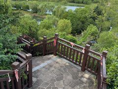 -九龙湖公园
