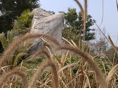 -云里小坐·海泉湾·团建·宴席·下午茶(金堂海泉湾店)
