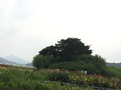 -日月潭