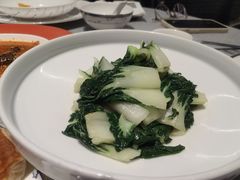 -柿合缘新京菜(国金中心商场店)