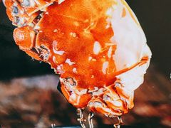 -有位虾匠·香辣蟹·小龙虾(李村店)