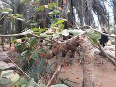-石家庄市植物园