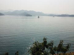 -望湖烤鱼