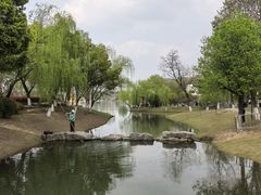 -武汉园博园(武汉自然博物馆)