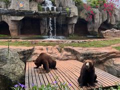 -海南热带野生动植物园