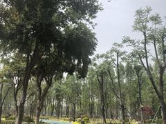 -后襄河公园