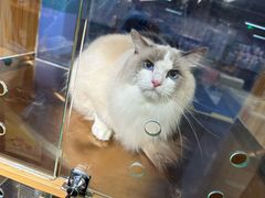 -FAELING PETS美天灵宠物(富力广场店)