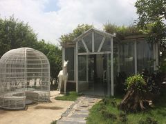 -花溪雨·森林餐厅(石基店)
