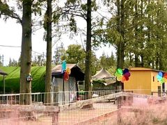 -前小桔亲子创意农场·草莓采摘·露营烧烤