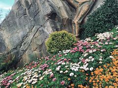 -七彩云南欢乐世界