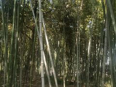 -乌镇景区