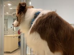 -骐奇宠物诊疗中心(南亭公路店)