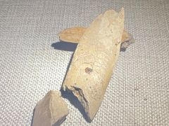 -王府井古人类文化遗址博物馆