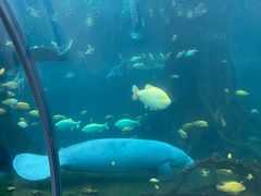-珠海长隆海洋王国