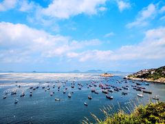 -枸杞岛