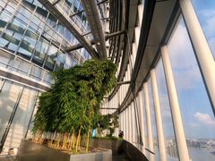 -上海观复博物馆