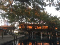 -喜洲吧·江畔老船厂·庭院餐厅(喜临院店)