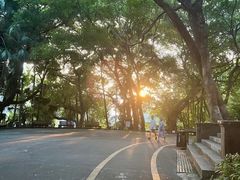 -中山公园(石岐街道)
