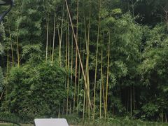 -苏州河梦清园环保主题公园