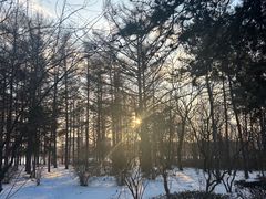 -长春市南湖公园