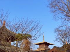 -广富林郊野公园