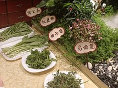-钦善斋(武侯祠店)
