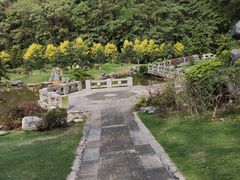 -深圳仙湖植物园