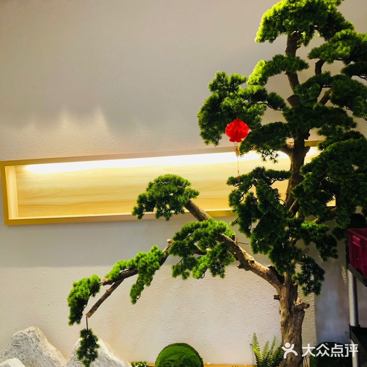 牛肉控的至尊享受｜坪山牛肉火锅性价比之选🐄