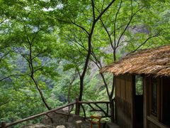 -大鄣山卧龙谷景区