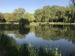 -将府公园