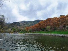 -秦岭终南山世界地质公园翠华山景区