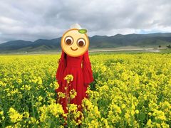 -青海湖国家重点风景名胜区