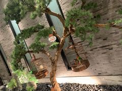 -小厨娘淮扬菜(六合欢乐港店)