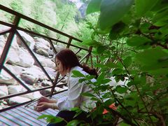 -青峰峡国家森林公园